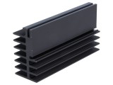 Radiator Aluminiu Negru 100mm x 30mm x 52mm