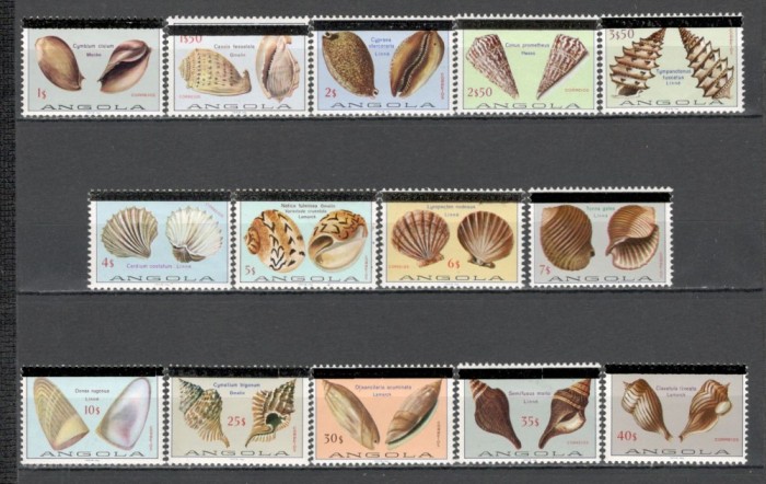Angola.1981 Fauna marina:Cochilii-supr. GX.10