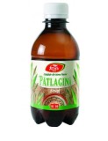 Sirop Patlagina Fares 250ml