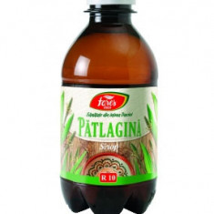 Sirop Patlagina Fares 250ml