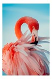 Tablou Canvas, "Flamingo &icirc;n oglinda apei albastre", Roz, Elegant, Delicat, Grațios, Strălucitor, Natură, Frumusețe, Contrast, Vibrant, Pene, Serenitat