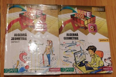 Algebra, Geometrie: clasa a VIII-a de Anton Negrila (2 vol.) foto