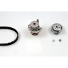 Kit distributie cu pompa apa Seat Alhambra Cordoba Ibiza VW Golf IV Bora Caddy 2.0