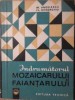 INDRUMATORUL MOZAICARULUI SI FAIANTARULUI-M. ANGELESCU, FL. GHEORGHIU-228496