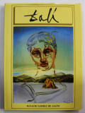 DALI de IGNACIO GOMEZ DE LIANO , 1983 , TEXT IN LIMBA SPANIOLA *LIPSA PAGINA DE TITLU