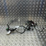 Cablaj ușă dreapta față PORSCHE PANAMERA 971 2018 OEM: 971971036,971971122A,971974294A,971974325A 32572126