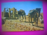 HOPCT 6695 SAHARA-OPRIRE LA PUTUL DE APA-- ALGERIA -AFRICA-NECIRCULATA, Printata
