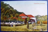 Lipova Parc 1925 - Lippafuredi parkreszlet - printata, color, circulata la Petrosani, timbre intacte, stampile lizibile, Necirculata, Fotografie