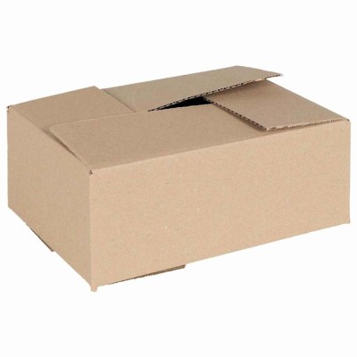vidaXL Cutia Pliabilă 50 pcs 25x17.5x10 cm Carton foto
