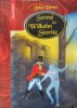 Secretul lui Wilhelm Storitz - Jules Verne, Corint, bibliografie scolara, roman, aventura, fictiune clasica, buna, romana