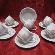 SET CAFEA PORTELAN BAREUTHER BAVARIA CESTI CAFEA ESPRESSO SI FARFURII