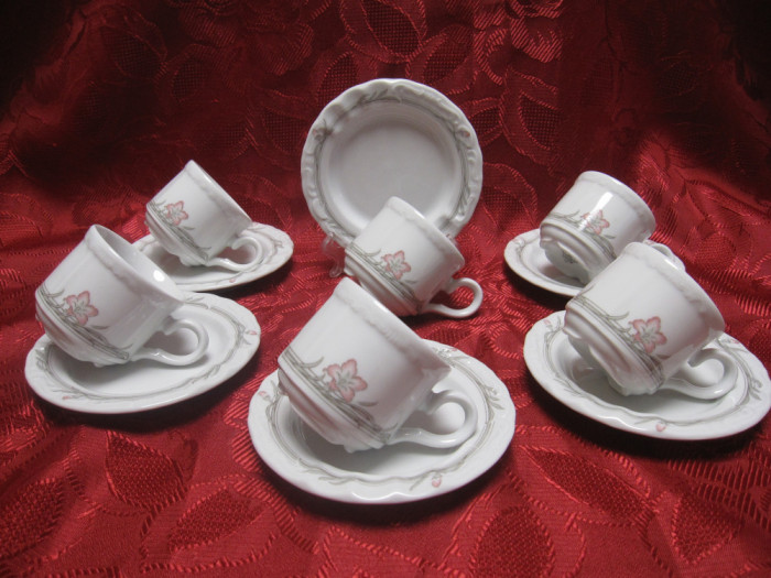 SET CAFEA PORTELAN BAREUTHER BAVARIA CESTI CAFEA ESPRESSO SI FARFURII