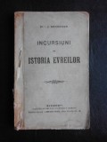 Incursiuni in istoria evreilor - I.J. Niemirower