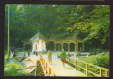 CPIB 22833 - CARTE POSTALA - GOVORA. IZVORUL NR. 30, Circulata, Fotografie
