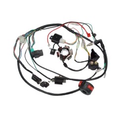 Instalatie Electrica Completa ATV Chinezesc 107cc 110cc - 6 bobine