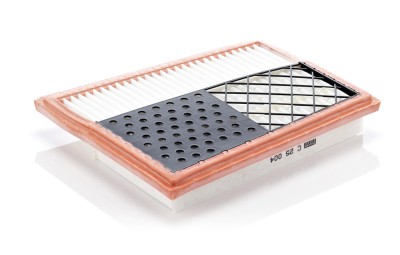 MANN-FILTER C 25 004 Filtru aer foto