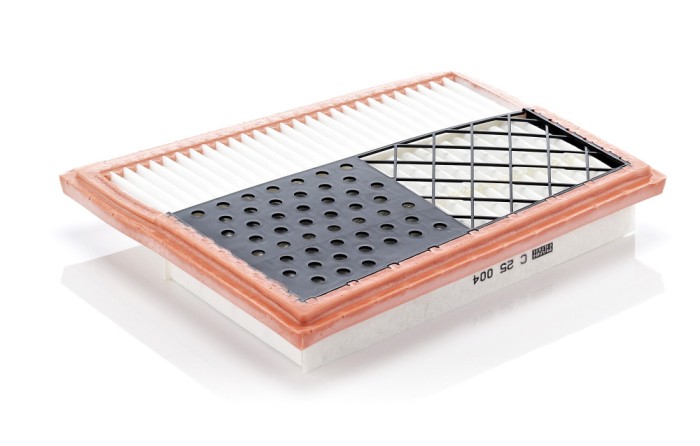 MANN-FILTER C 25 004 Filtru aer
