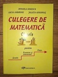 Culegere de matematica clasele 7-8 - Mihaela Ionescu, Lucia Androne