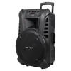 Sistem Audio Portabil Azusa 15 inch, 60W RMS, Bluetooth, USB, SD, FM, 2 Microfoane Wireless, Baterie, Chitara
