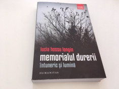 LUCIA HOSSU LONGIN, MEMORIALUL DURERII- INTUNERIC SI LUMINA foto