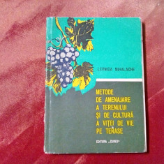 METODE DE AMENAJARE A TERENULUI SI DE CULTURA A VITEI DE VIE PE TERASE - 1972