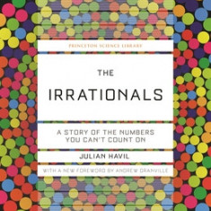 The Irrationals: A Story of the Numbers You Can't Count on