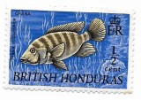 Hondurasul Britanic (1) - Fauna salbatica - Pesti, 1969 - serie neobliterata, Nestampilat