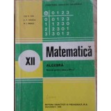 MATEMATICA ALGEBRA, MANUAL PENTRU CLASA A XII-A-ION D. ION, A.P. GHIOCA, N.I. NEDITA-335564
