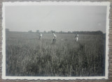 Vanatori intr-un camp, perioada interbelica// fotografie, Romania 1900 - 1950, Portrete