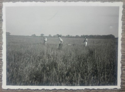 Vanatori intr-un camp, perioada interbelica// fotografie foto