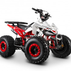 ATV Barton Eagle 125cc, 4 timpi, roti de 8&quot;, culoare rosu Cod Produs: MX_NEW MXEAGLE125R