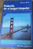 LITR24 Poduri de-a lungul timpului - Mircea Rus