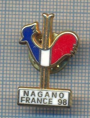 AX 376 INSIGNA SPORTIVA - SCHI(SKI)-NAGANO-FRANCE &amp;#039;98-ECHIPA NATIONALA A FRANTEI foto