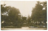 4640 - PLOIESTI, Public Garden, Parc Romania - old postcard, real Photo - unused, Necirculata, Fotografie