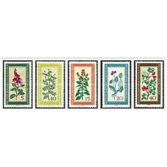 DDR 1960 - plante medicinale, serie neuzata