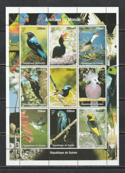 Guinea 1998 - Pasari S/S 1v MNH