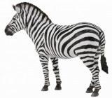 Zebra - Animal figurina, Collecta