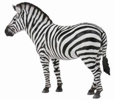 Zebra - Animal figurina foto