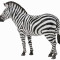 Zebra - Animal figurina