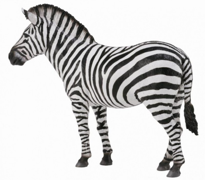 Zebra - Animal figurina