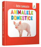 Animalele domestice. Bebe cunoaște - Board book - *** - Gama