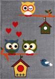 Cumpara ieftin Covor Pentru Copii Kolibri Bufnite 11205 - 80x150, Gri