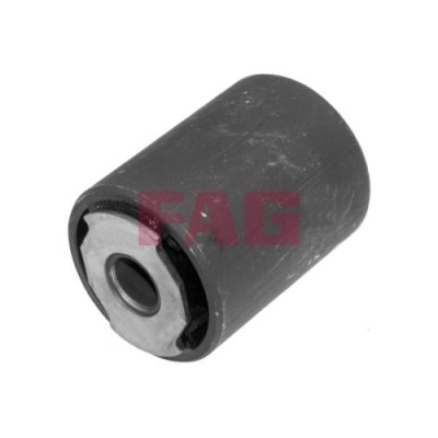 FAG Bucsa arc foi foto