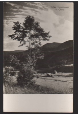CPIB 22421 - CARTE POSTALA - VALEA TELEAJENULUI LA CHEIA, RPR, NECIRCULATA foto