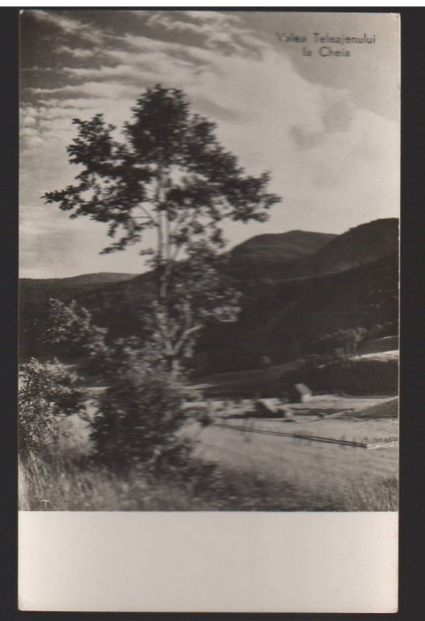CPIB 22421 - CARTE POSTALA - VALEA TELEAJENULUI LA CHEIA, RPR, NECIRCULATA