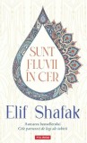 Sunt fluvii in cer - Elif Shafak