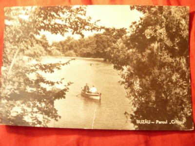 Ilustrata - Fotografie - Buzau - Parcul Crangul RPR 1962 ,cu 2 pliuri foto