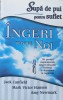 Ingeri Pintre Noi - Jack Canfield, Mark Victor Hansen, Amy Newmark , A906, Adevar Divin