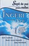 Ingeri Pintre Noi - Jack Canfield, Mark Victor Hansen, Amy Newmark ,560292, 2014, Adevar Divin