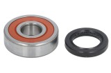 Cumpara ieftin Kit rulment roata Spate (cu etansanti) pentru HONDA NSS 250 2005-2009